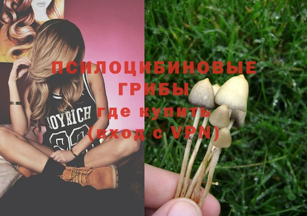 круглые Бронницы