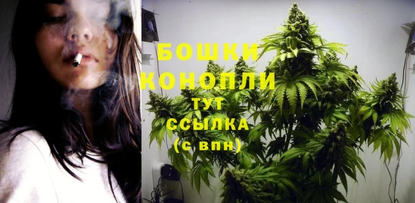 экстази Бородино