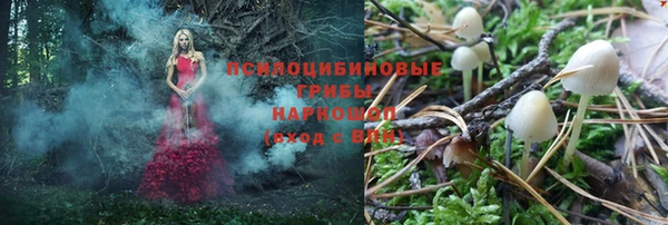 экстази Бородино