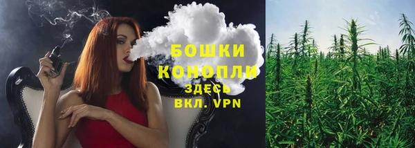 экстази Бородино