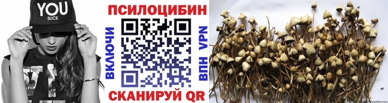 Купить закладки  Окуловка  Псилоцибиновые грибы Cubensis 